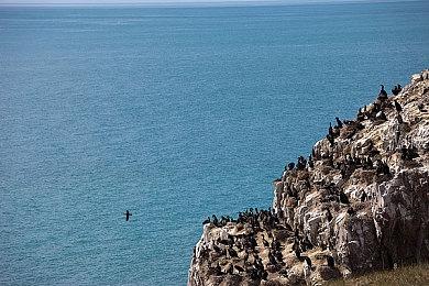 R星被曝存在用户数据黑市交易 或威胁玩家安全